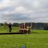 Badminton Cross Country